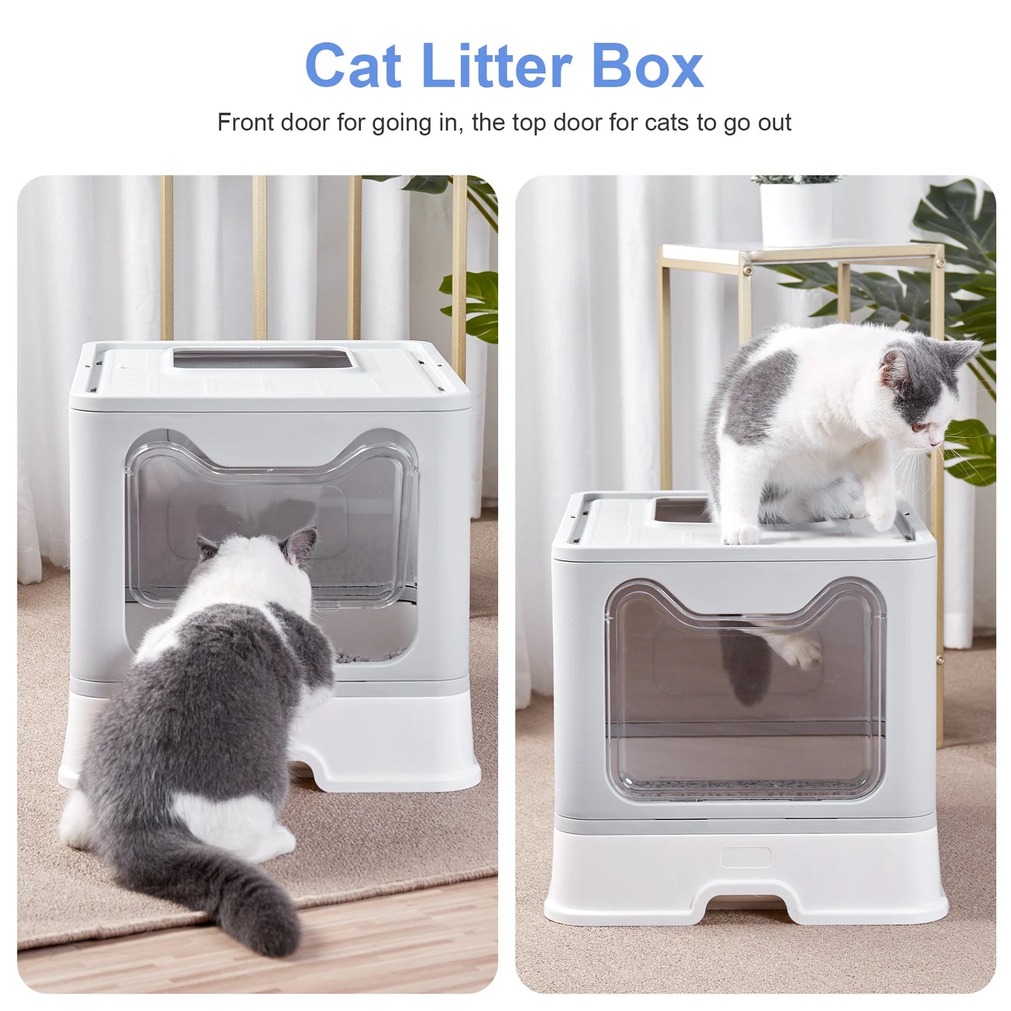 Front Entry Top Exit Cat Litter Box with Lid Foldable - Mountain Merch Market 